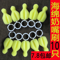 10-pack high-quality pacifier brush Sponge washing pacifier brush Wide mouth diameter standard mouth bottle pacifier brush cleaning