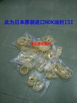 Original imported NOK oil seal ISI beige seal ring for Haitian injection molding machine accessories