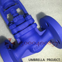 WJ41H steam bellows globe valve DN50 German standard flange cast steel DN20 globe valve Fesspacari