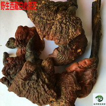 Wild Tibetan Ganoderma lucidum Wild White Meat Ganoderma lucidum Tibetan White Heart Ganoderma lucidum White Heart Ganoderma lucidum 50g