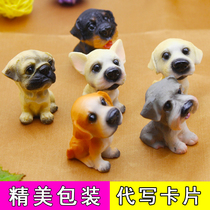 Birthday gift girlfriend creative practical novelty send male and female friends 18-year-old stupid cute small gift