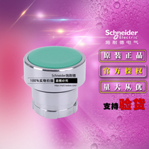 Schneider Schneider Original Flat Head Button Head Switch ZB2BA3C ZB2-BA3C Green