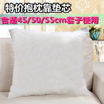 Sofa backrest Core cushions Core Cross embroidered pillow core 40 45 50 50 55 55 60 60 cushion core special price