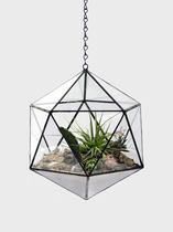  Retro-fashioned geometric multilateral three-dimensional spherical glass greenhouse can be hung fleshy moss decorative flower device