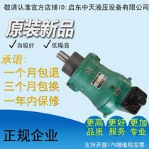 Factory direct high quality high efficiency and low noise 63YCY 63y14-1b axial plunger oil pump