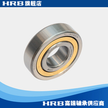 HRB NJ305EM 42305H Harbin bearing short cylindrical roller bearing inner diameter 25mm outer diameter 62mm