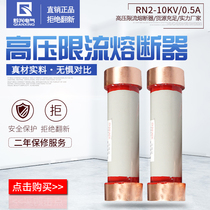 Qianxing RN2-10KV 0 5-1A-3A-5-10A-15 Indoor 12KV high voltage current limiting fuse core