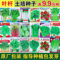 Hot sale balcony Four Seasons vegetable seeds leek celery small chives Shepherd cabbage coriander spinach chrysanthemum red amaranth