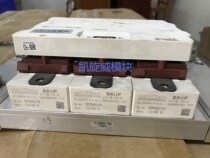 SKUUP613GB123CT SKIIP1813GB123-DUK0382 SKIIP603GB123CT