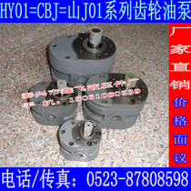 CBJ-25X25 35X25 50*25 70 25 100X25 wo zhou ju tai machines parallel plane grinding machines gear oil pump