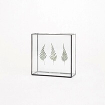  European-style simple ins double-sided glass photo clip Retro photo frame Picture frame Plant specimen clip Three-dimensional table photo frame