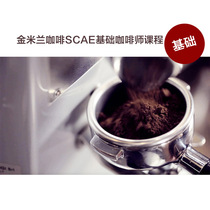 Golden Milan coffee SCAE European boutique coffee association basic barista course training coffee certificate