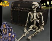 Ghost House Secret House Props Horror Decoration Imitation Real size human skeletal model Skull skeletal head dry corpse