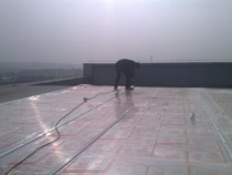 Project example PC sunny board transparent hollow board provincial Unicom building roof lighting roof project