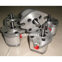 Taiwan Xinhong gear pump HGP-1A-F4L brand new original spot