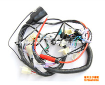 Applicable to storm Prince QJ150-3B 18F 18R cable assembly whole car line cable circuit