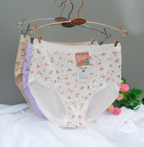 Foreign trade original single tail single day single cotton ladies underwear printing high waist mother fat MM plus fertilizer plus size