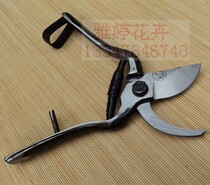 Black King Kong-Antique Scissors Old-fashioned Wangershan Brand Pruning Shears Fruit Tree Cutting Scissors Gardening Shears