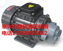 CB-B10JZ gear pump motor group with ear CBW-10CB-B4JZCB-B6JZ in-line Motor Group