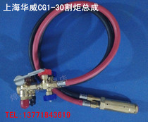  Shanghai Warwick original CG1-30 semi-automatic cutting accessories gas path assembly(improved) torch assembly