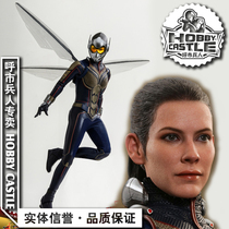 Spot Hottoys HT MMS498 1 6 movable man pupant 2 Hornets female show up Yellow Bee female 1 0