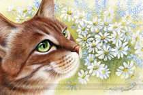 DMC self-matching cross stitch kit HAE-Daisies flowers cat dream full embroidery hipster pastoral series