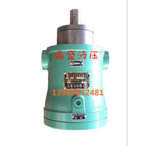 Hydraulic oil pump high pressure axial plunger pump quantitative pump 2 5MCY 5MCY 10MCY 25MCY14-1B