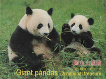 National Treasure Giant Panda Postcard Full Set of 12 Zhang all featured Sichuan scenery souvenirs to go abroad for small gifts