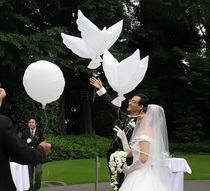 Flying festival celebration ceremony event decoration Flying pigeon balloon Helium floating wedding decoration props toys