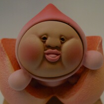 Goods Shunfeng Post and other postal charges Extra Shipping Fees