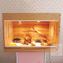 Land Hosts Crab Pets New Hands Living Suit Available Climbing and Ornamental Crab Solid Wood rearing Box Bag Alive