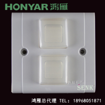 Hangzhou Hongyan Kangju A86 waterproof Splash film two open dual control switch double double switch kitchen balcony