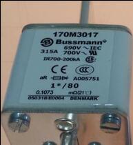 Bussmann Fuse 170M4388 4389 4390 4391 4392 4393 4394 4395