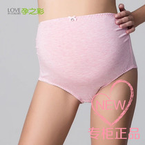 Pregnancy color solid color pregnant women underwear high waist belly full pregnancy briefs regenerated cellulose