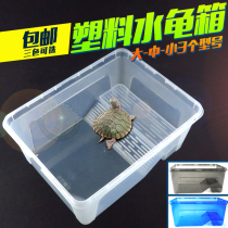 Turtle-cylinder Turtle Large number with sundae fish tank open turtle plastic mulled living rearing goldfish box box