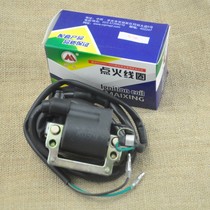 Motorcycle JH70 ignition coil DY100 curved beam car 48Q 90 High Voltage package motorcycle igniter High Voltage package