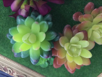 Multi-meat gemstone Lotus simulation flower simulation plant multi-meat plant artificial flower artificial flower fake flower simulation flower