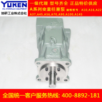 Original Japanese oil research YUKEN plunger pump A100-LR01BS-60 A145-LR01KS-60 spot