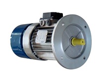 Italian COEL brake motor COEL brake motors F71B4B5 Import brake motors