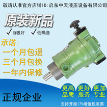 16SCY 16SCY14-1B original factory direct sales of Qidong high pressure manual variable hydraulic axial plug oil pump
