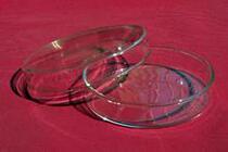 A glass petri dish plate bacteria macerated liquid and mashed matter of chemical and biological laboratory equipment 60 MM 75 90 100 120mm