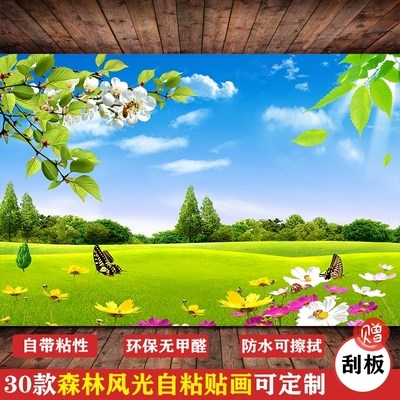 Wind Painting Sticker Wall Guest Ugly paper View body Paper View 3d Painted Self Room Decorated with Painted Back Wall Painting Hall Sleeper wall Wall