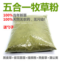 Pure natural fresh five-in-one pasture powder tortoise forage grass powder stomach digestion acid stone spoon