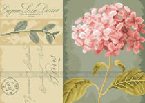 Cross stitch electronic figure redraw source file-Lanarte-35034 hydrangea postcard