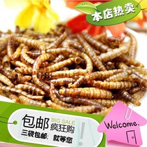  3 bags of hamster bear main food snacks High-quality bread worms dried mealworms Dried Chinchilla pet Arowana feed