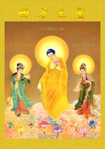 Three icons 2 double-sided plastic seal photo paper over-plastic canvas photo cloth scroll multi-size material selection customization