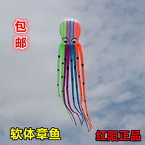 Hongyang soft kite software octopus kite 6 meters 8 meters color soft octopus tube octopus