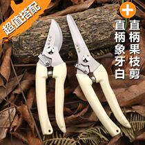 Garden fruit tree shears high branches saws small scissors telescopic blades high-altitude Fruit tree pruning shears clipped