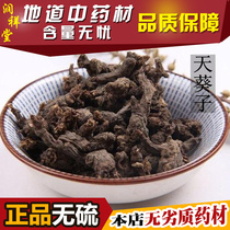 Chinese Herbal Medicine Sky Sunflower Purple Back Sky Sunflower Seeds Millennia Rat Shit 500 gr New goods