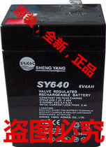 One year warranty 6V4AH 20HR electronic scale battery SY640 childrens car 6v battery 6v4 0ah